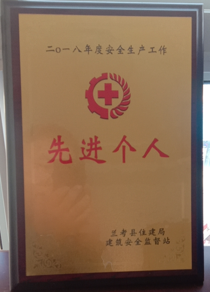 公司总经理被评为先进个人